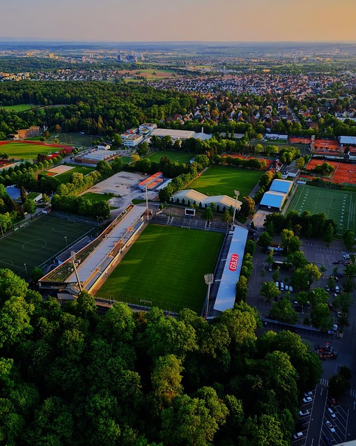 手通常会进 手通常会进