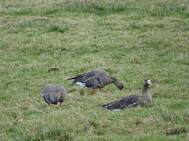 恢复体力 恢复体力