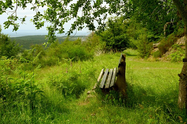 在比赛中制 在比赛中制