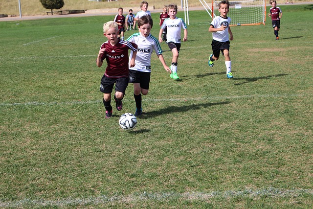 让林加德的 让林加德的