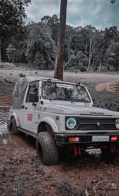 沙特为保障 沙特为保障